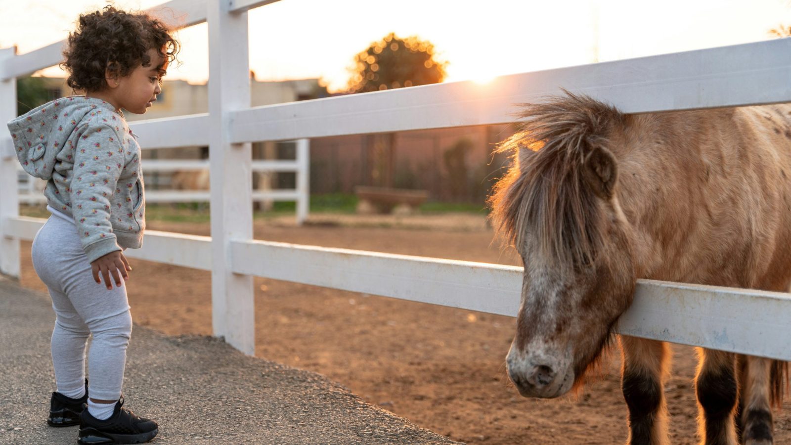 bébé face à un poney