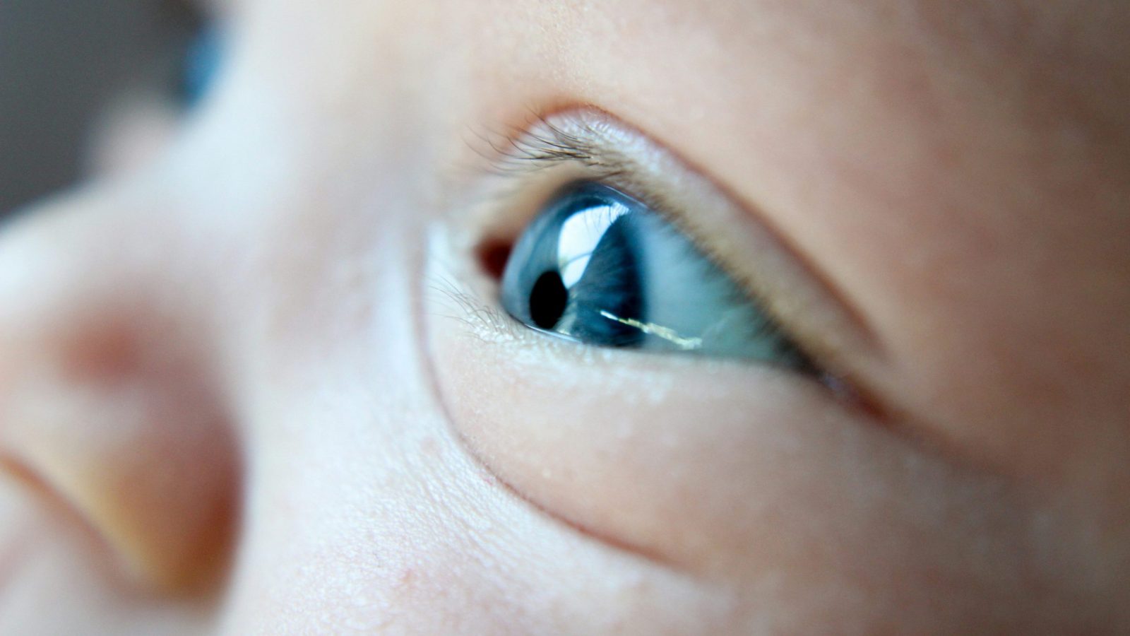 Lire la suite à propos de l’article Comprendre et accompagner la vision de votre bébé à 1 mois