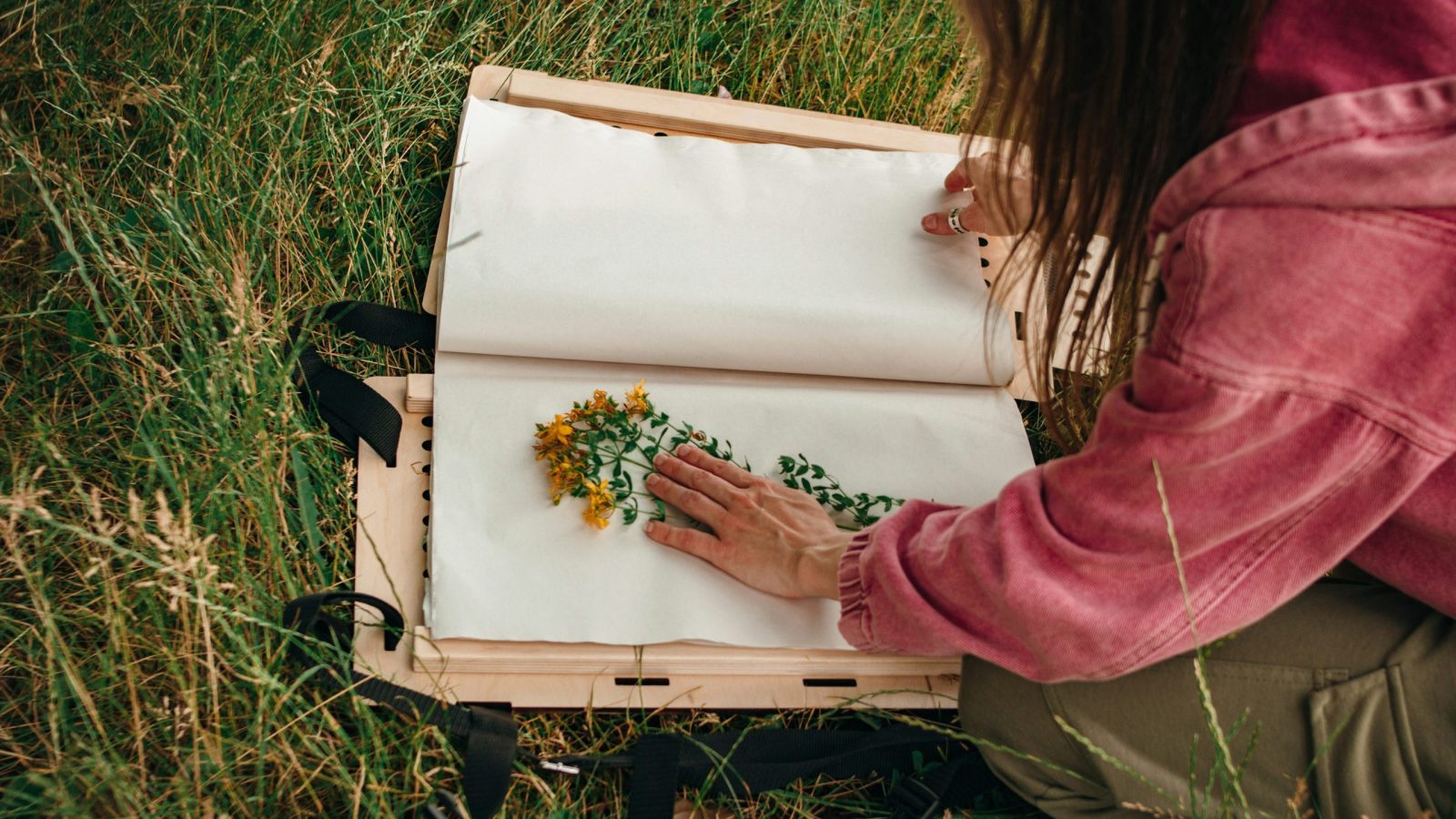 cahier herbier fait par une femme